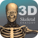3D Skeletal Anatomy